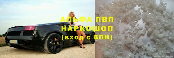 прущие грибы Балабаново