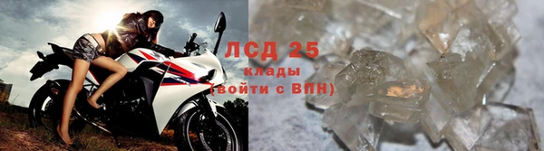 прущие грибы Слюдянка