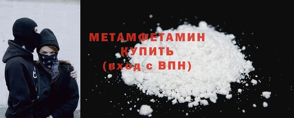 прущие грибы Балабаново