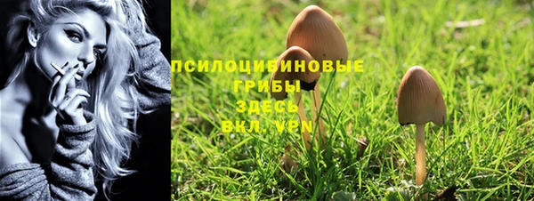 первитин Белокуриха
