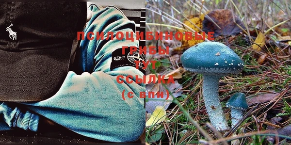 экстази Баксан