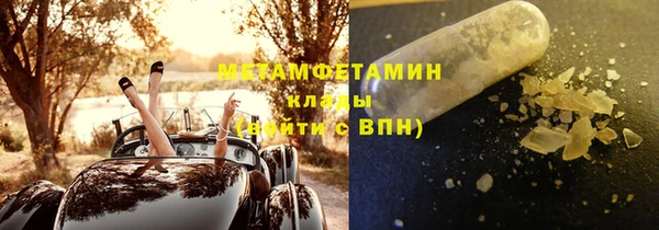 прущие грибы Балабаново