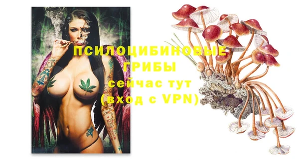 экстази Баксан