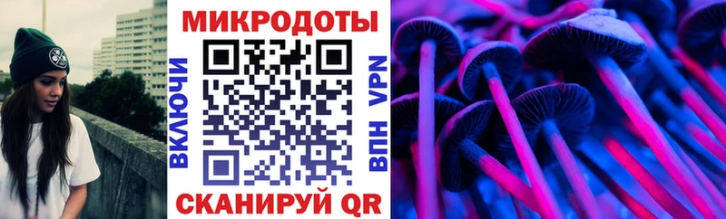 дарнет шоп Волгореченск Псилоцибиновые грибы Cubensis